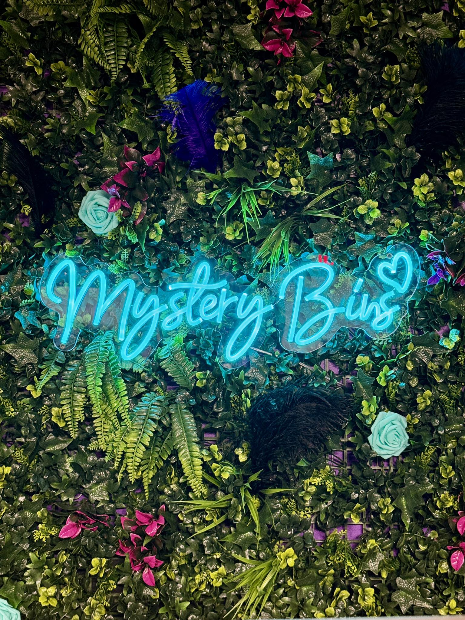 Magic Duo Mystery Bins